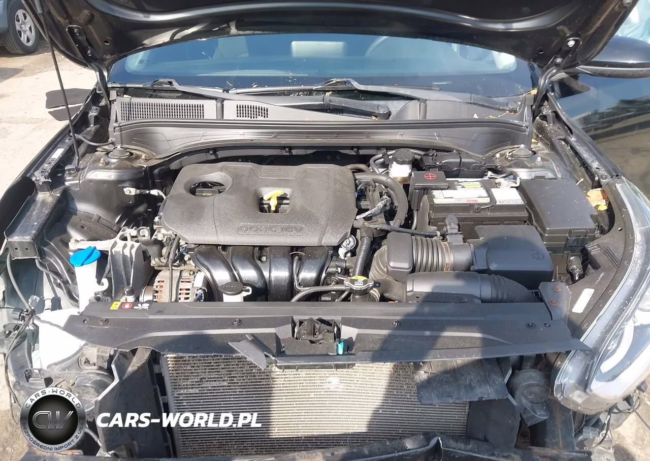 2019 Kia Forte Lxs VIN:3KPF24AD2KE031306 - 10