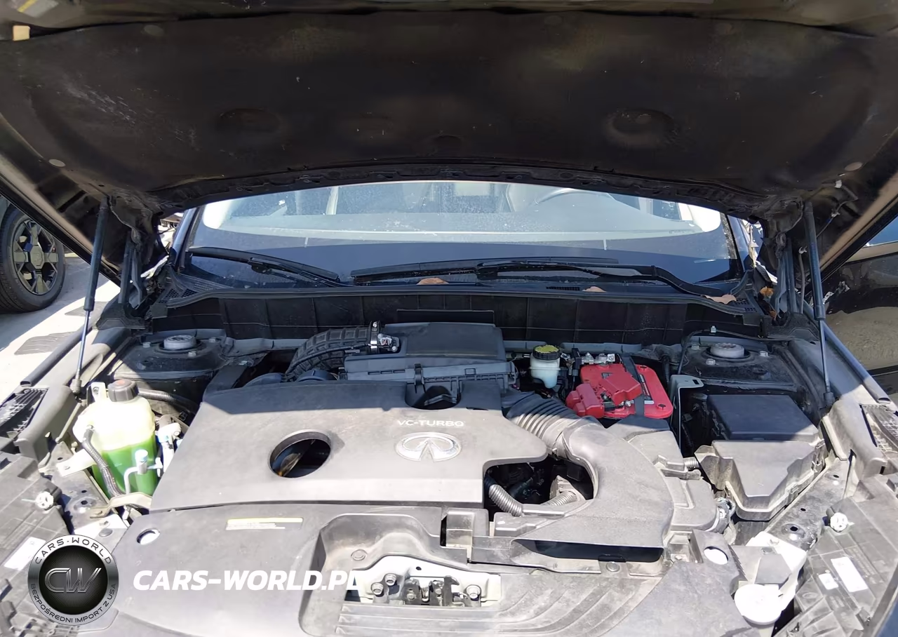 2019 Infiniti Qx50 Luxe VIN:3PCAJ5M10KF144234 - 10