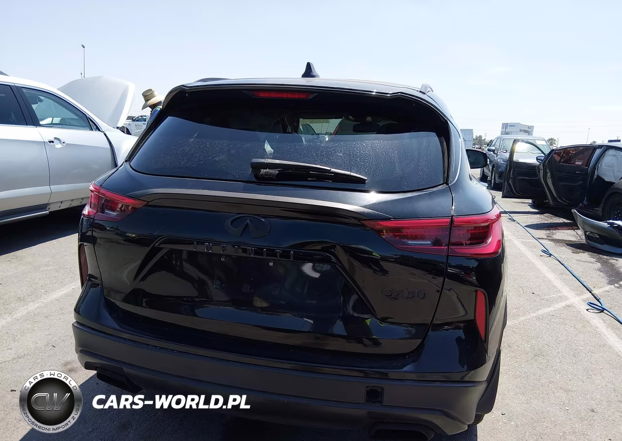 2019 Infiniti Qx50 Luxe VIN:3PCAJ5M10KF144234 - 16