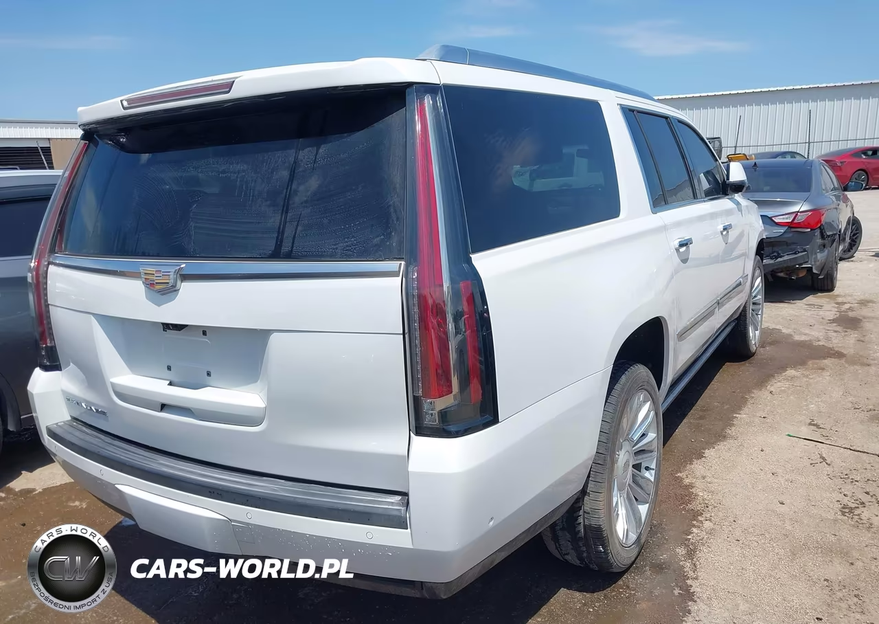 2017 Cadillac Escalade Esv Platinum VIN:1GYS3KKJ0HR249921 - 4