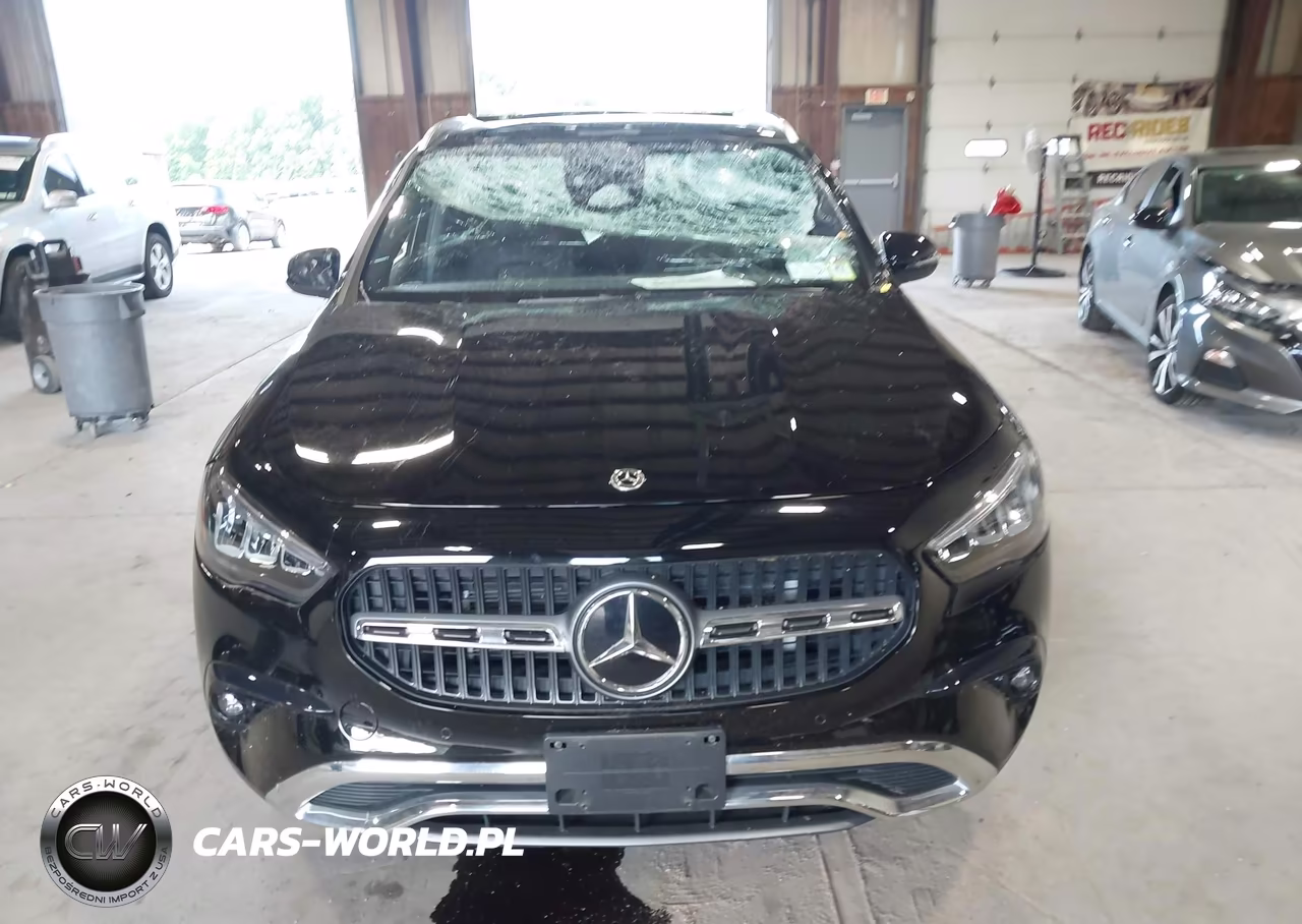 2025 Mercedes-Benz Gla 250 4Matic VIN:W1N4N4HB0SJ675384 - 12