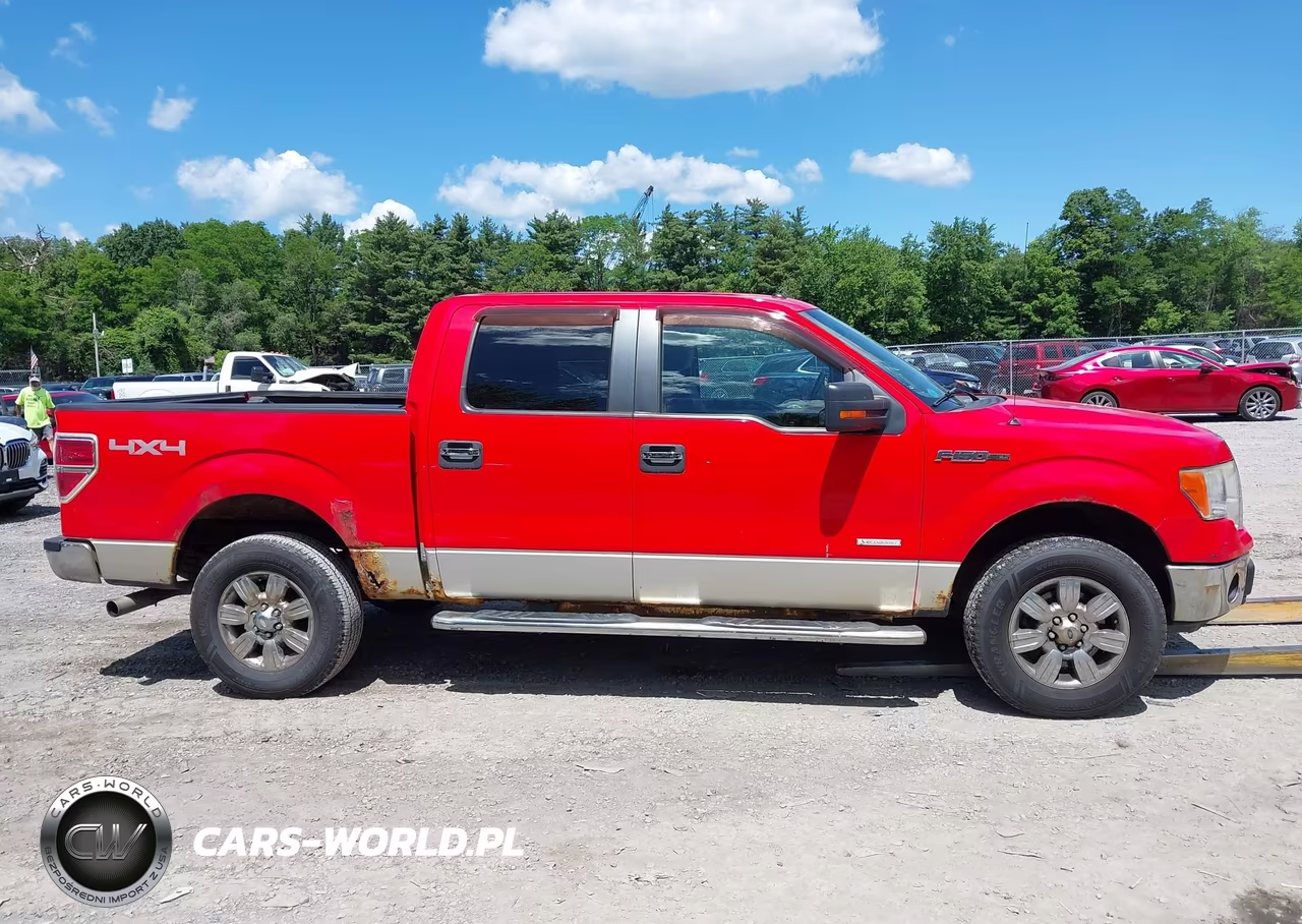 2011 Ford F-150 Xlt VIN:1FTFW1ET3BFC55128 - 13