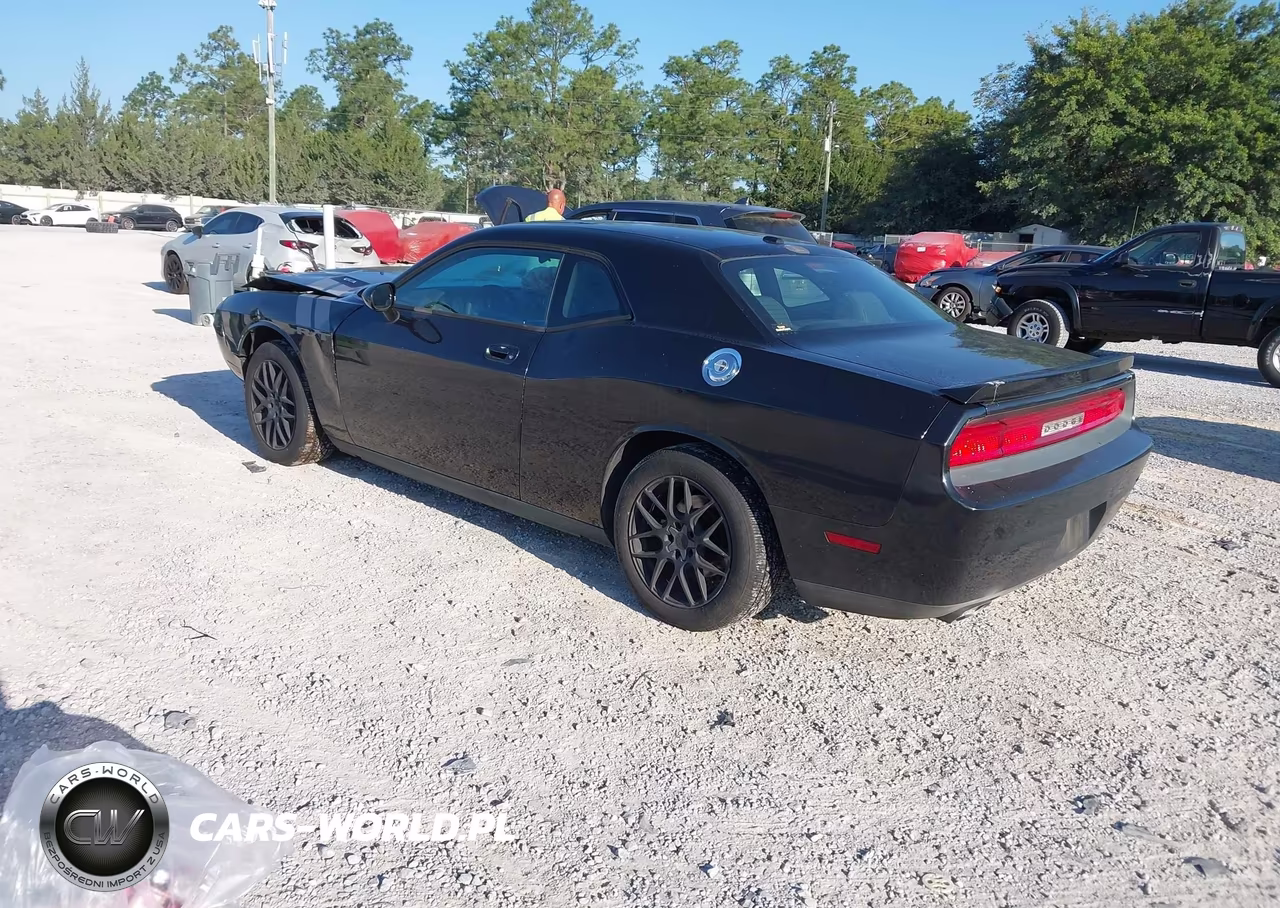 2009 Dodge Challenger R-T VIN:2B3LJ54T49H538898 - 3