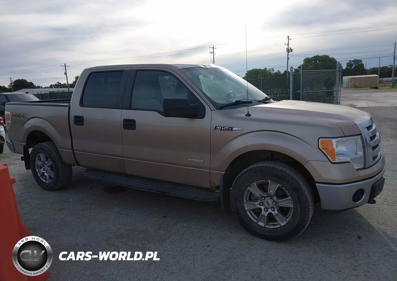 2011 Ford F-150 Xlt VIN:1FTFW1ET5BFB21849 - 13