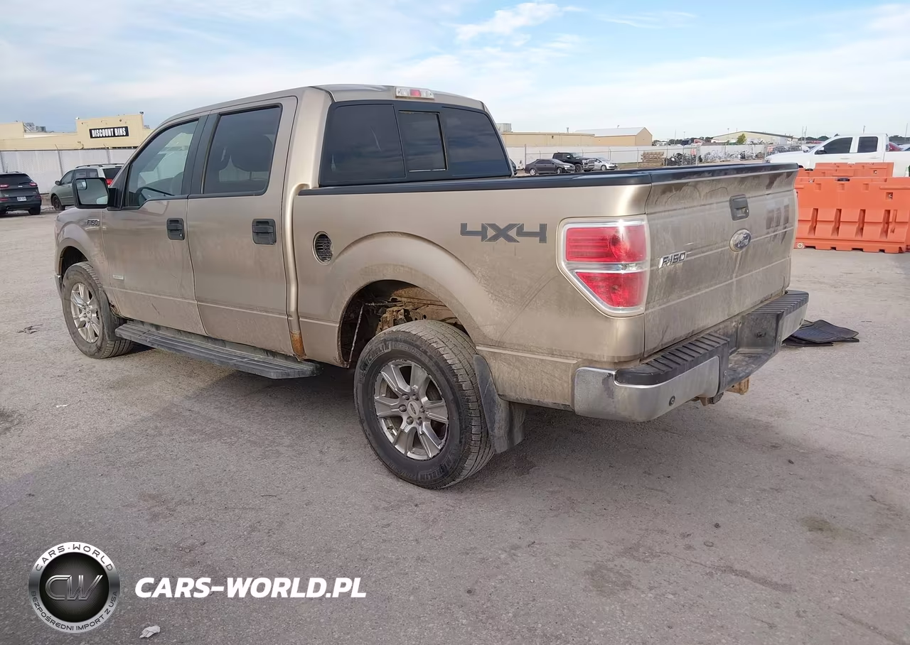 2011 Ford F-150 Xlt VIN:1FTFW1ET5BFB21849 - 3