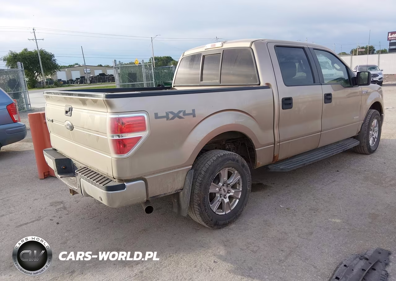 2011 Ford F-150 Xlt VIN:1FTFW1ET5BFB21849 - 4