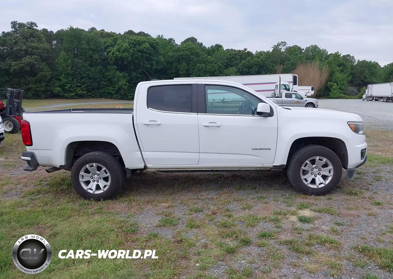 2019 Chevrolet Colorado Lt VIN:1GCGSCENXK1171754 - 13