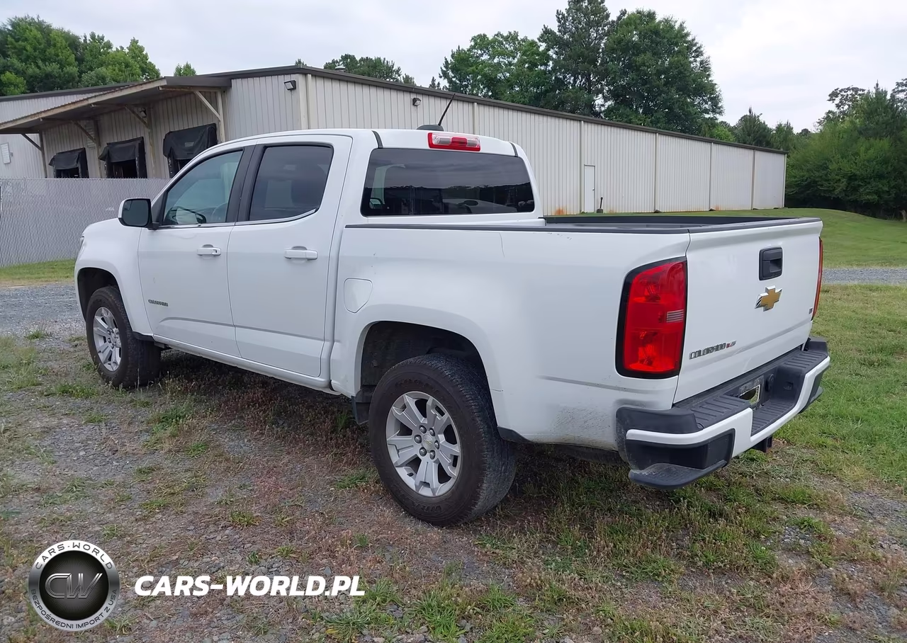 2019 Chevrolet Colorado Lt VIN:1GCGSCENXK1171754 - 3