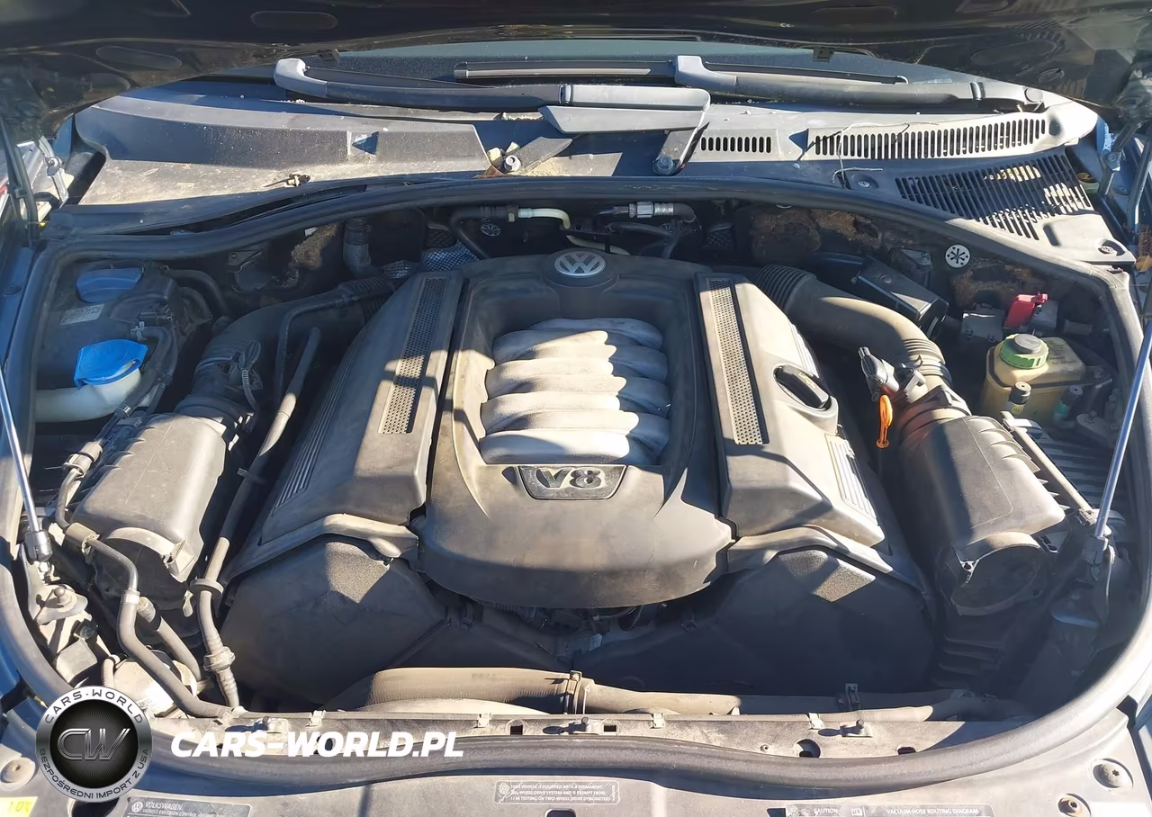 2004 Volkswagen Touareg V8 VIN:WVGCM77L44D045494 - 10