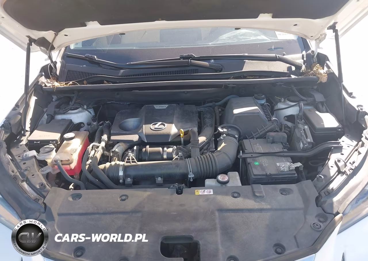2021 Lexus Nx 300 VIN:JTJDARBZXM5032572 - 10