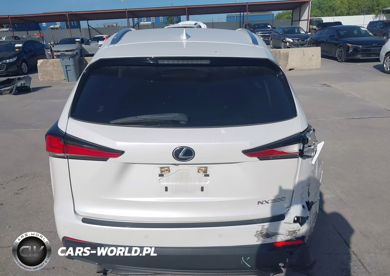 2021 Lexus Nx 300 VIN:JTJDARBZXM5032572 - 16