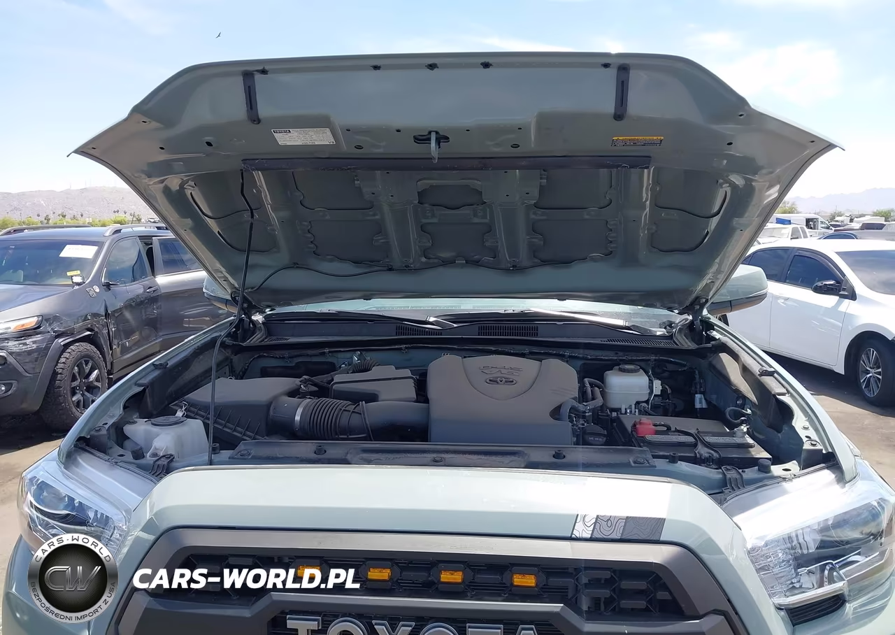 2023 Toyota Tacoma Trd Off Road VIN:3TMCZ5AN5PM559111 - 10