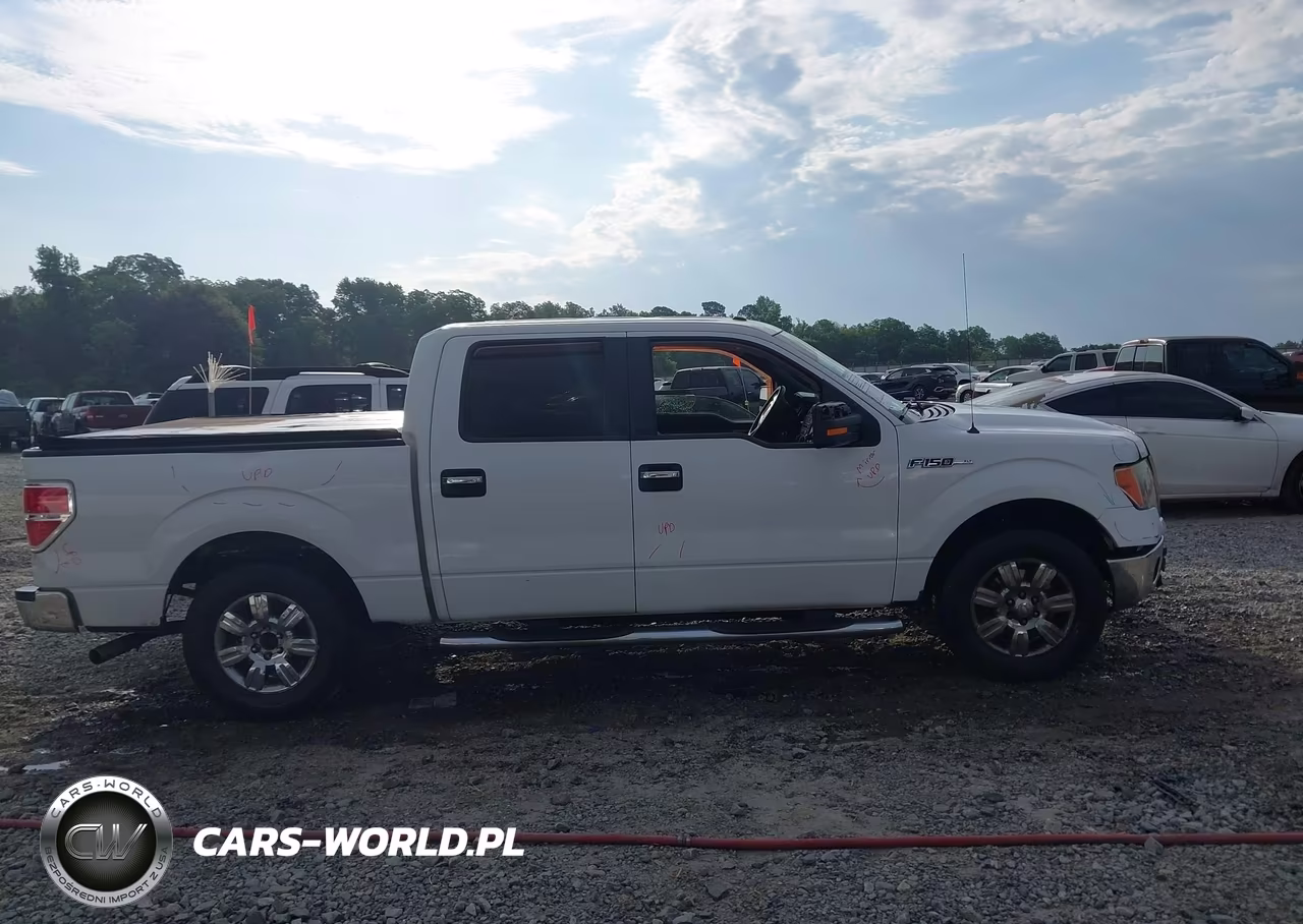 2010 Ford F-150 Fx2 Sport-Xl-Xlt VIN:1FTEW1C82AFA71453 - 13