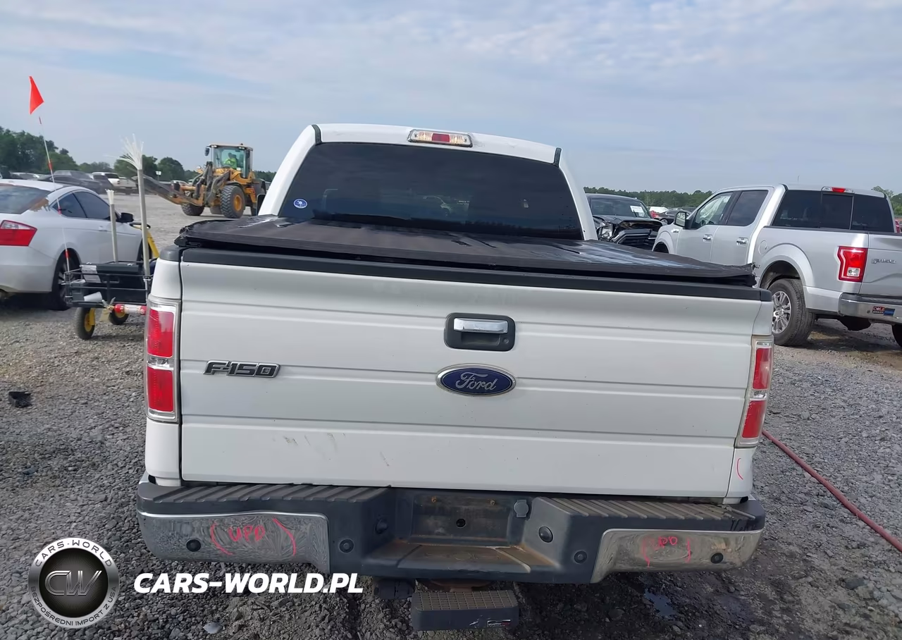 2010 Ford F-150 Fx2 Sport-Xl-Xlt VIN:1FTEW1C82AFA71453 - 16