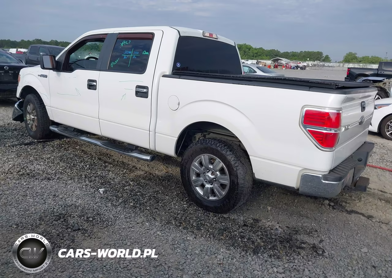 2010 Ford F-150 Fx2 Sport-Xl-Xlt VIN:1FTEW1C82AFA71453 - 3