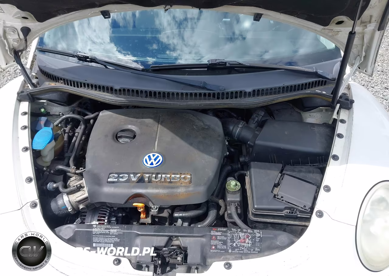 2001 Volkswagen New Beetle Glx VIN:3VWDD21C01M456974 - 10