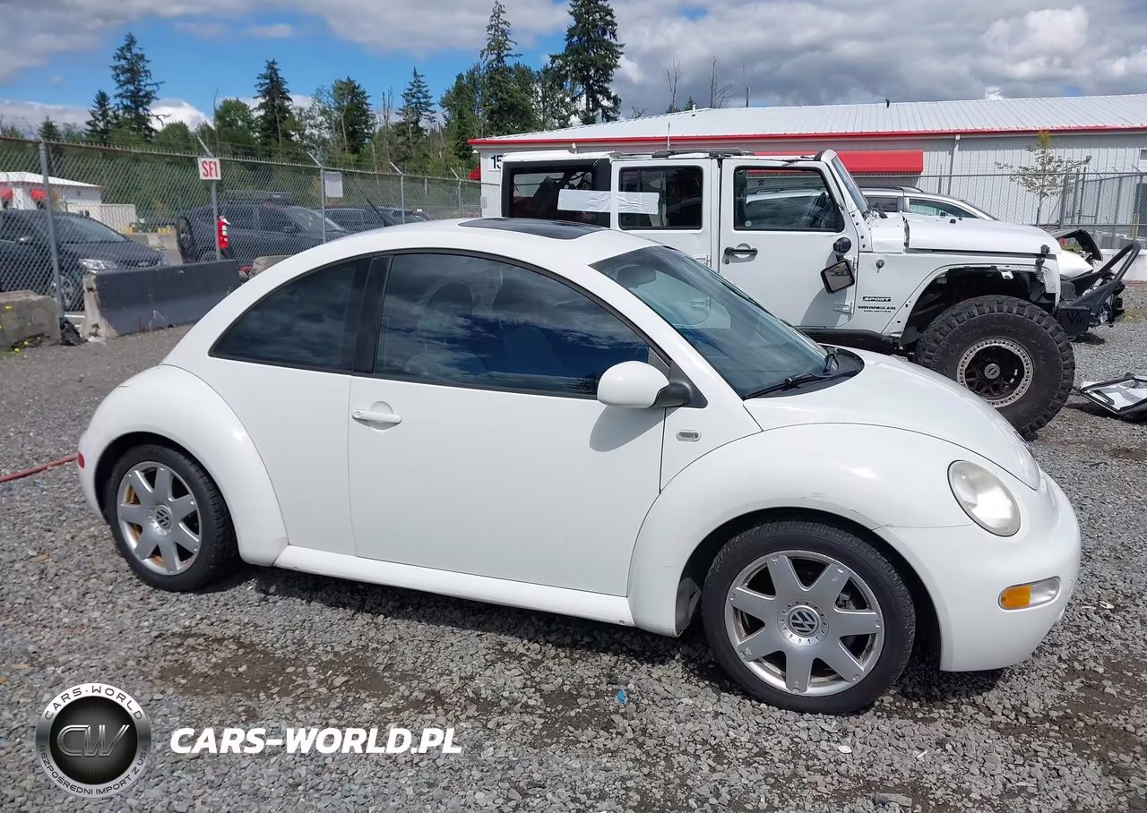 2001 Volkswagen New Beetle Glx VIN:3VWDD21C01M456974 - 13