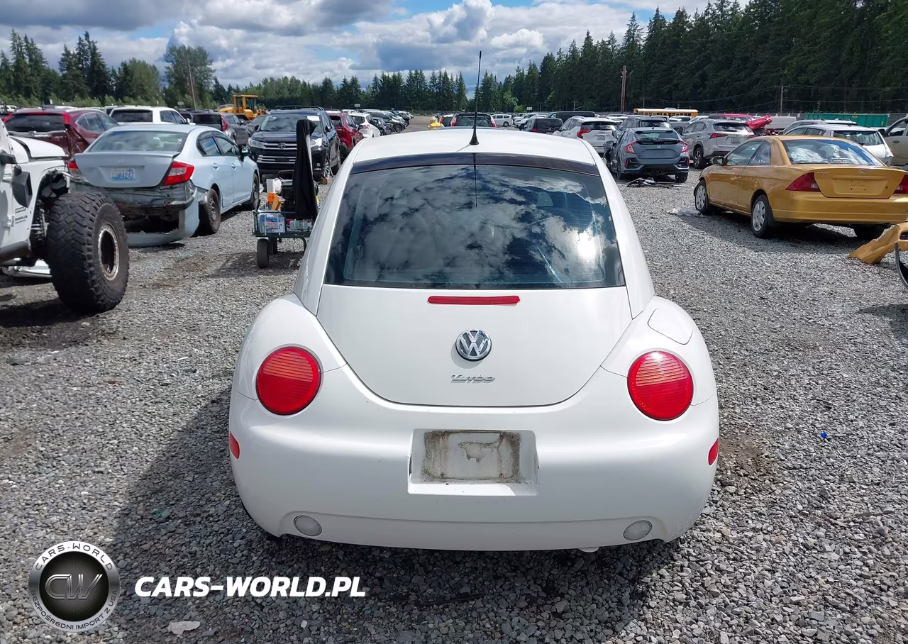 2001 Volkswagen New Beetle Glx VIN:3VWDD21C01M456974 - 16