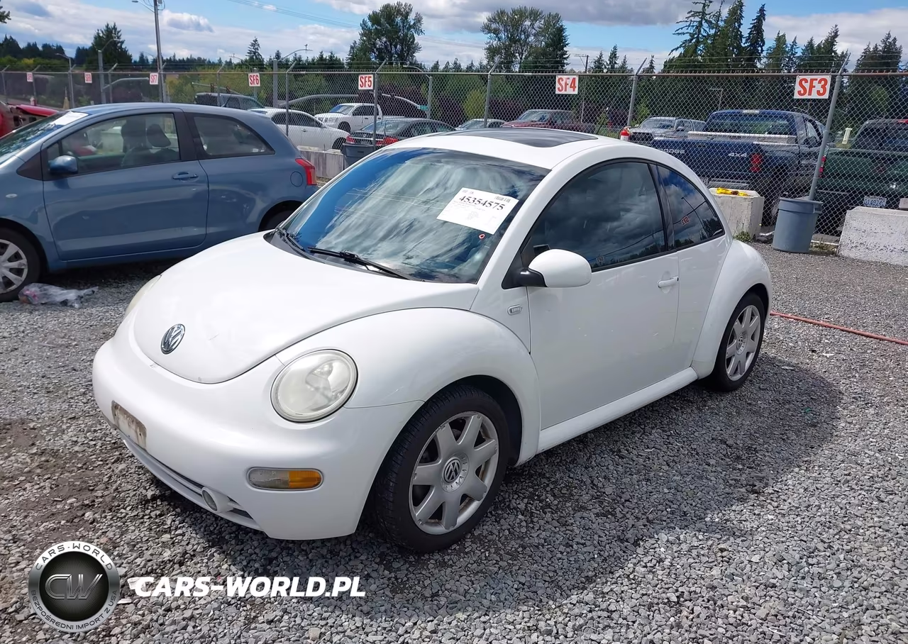 2001 Volkswagen New Beetle Glx VIN:3VWDD21C01M456974 - 2