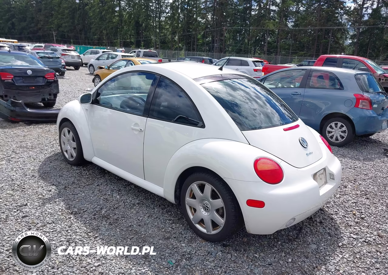 2001 Volkswagen New Beetle Glx VIN:3VWDD21C01M456974 - 3
