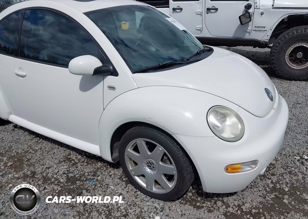 2001 Volkswagen New Beetle Glx VIN:3VWDD21C01M456974 - 6