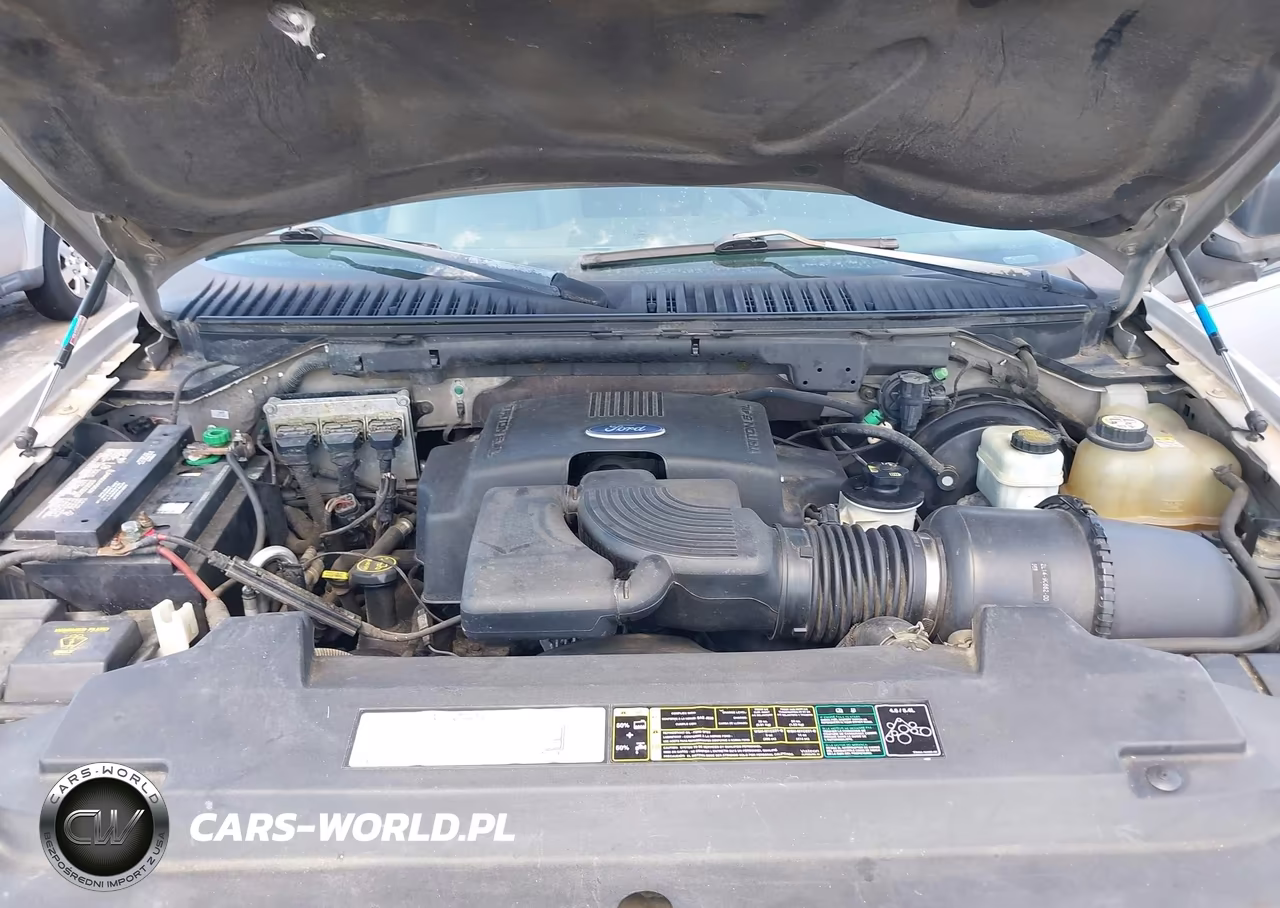 2003 Ford Expedition Xlt VIN:1FMPU15L83LC25597 - 10