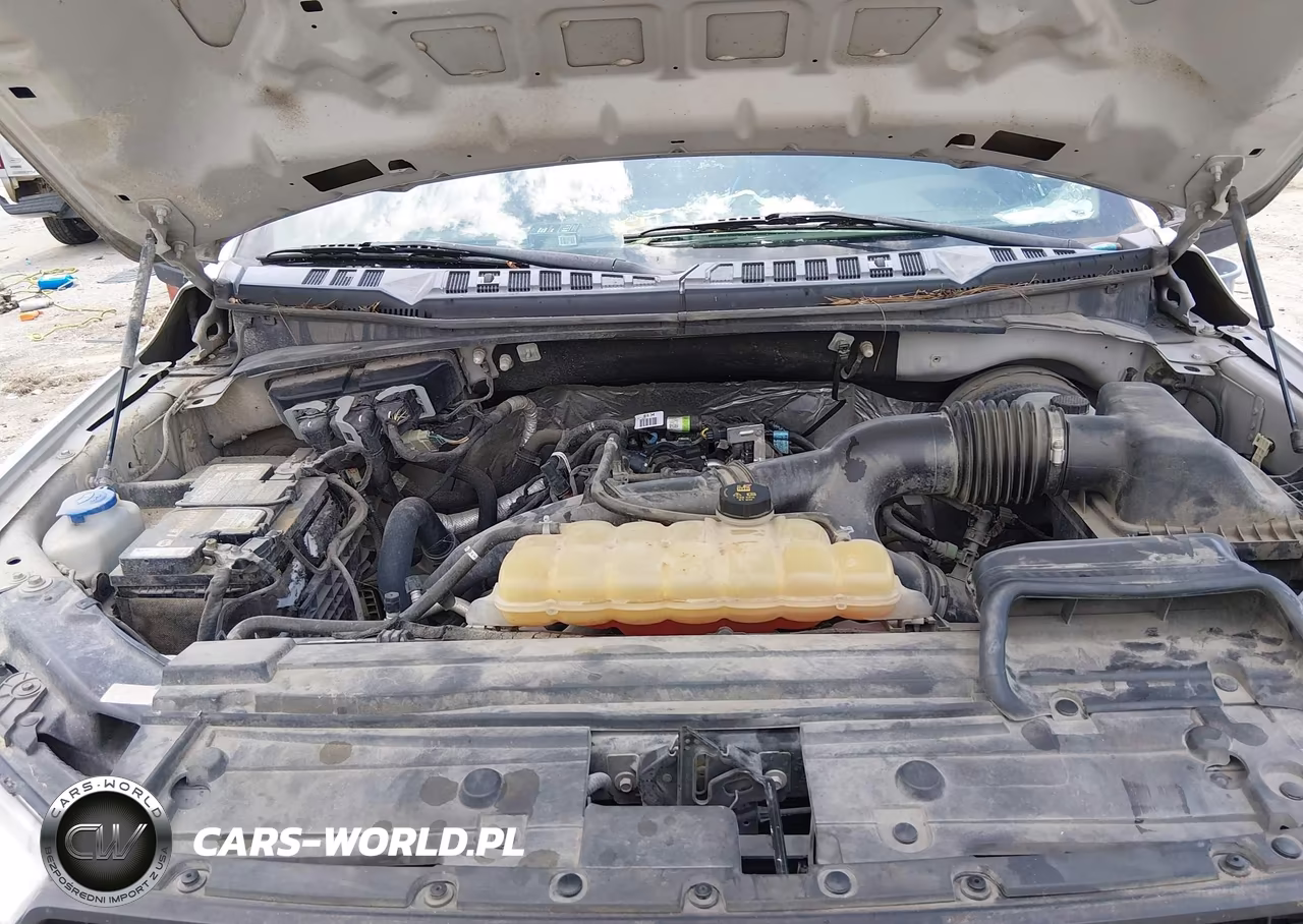 2019 Ford F-150 Xl VIN:1FTEX1CP0KKC18298 - 10