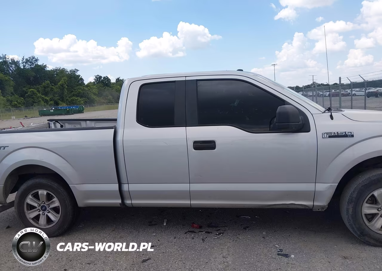 2019 Ford F-150 Xl VIN:1FTEX1CP0KKC18298 - 12