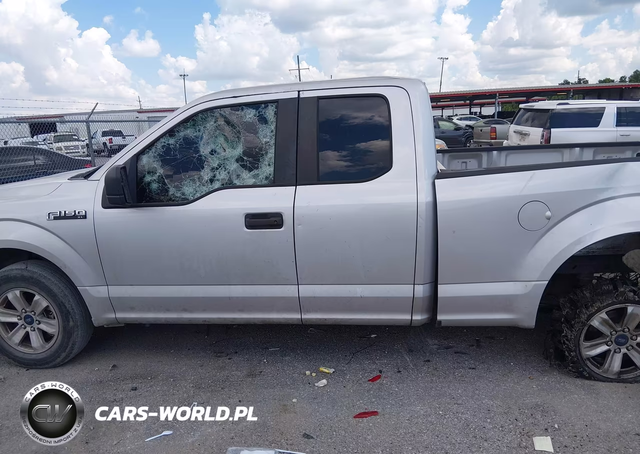 2019 Ford F-150 Xl VIN:1FTEX1CP0KKC18298 - 13