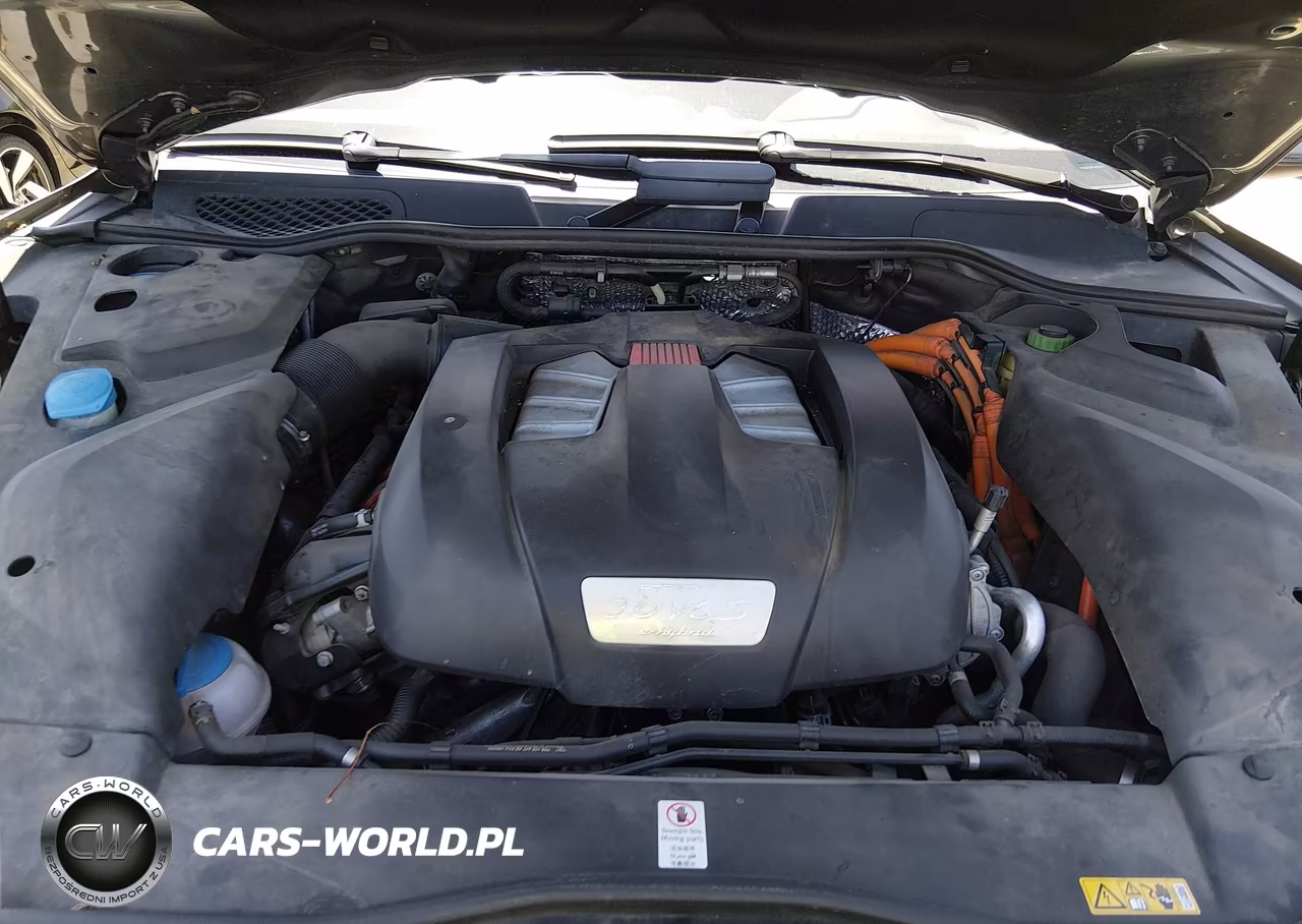 2015 Porsche Cayenne E-Hybrid S VIN:WP1AE2A29FLA52010 - 10