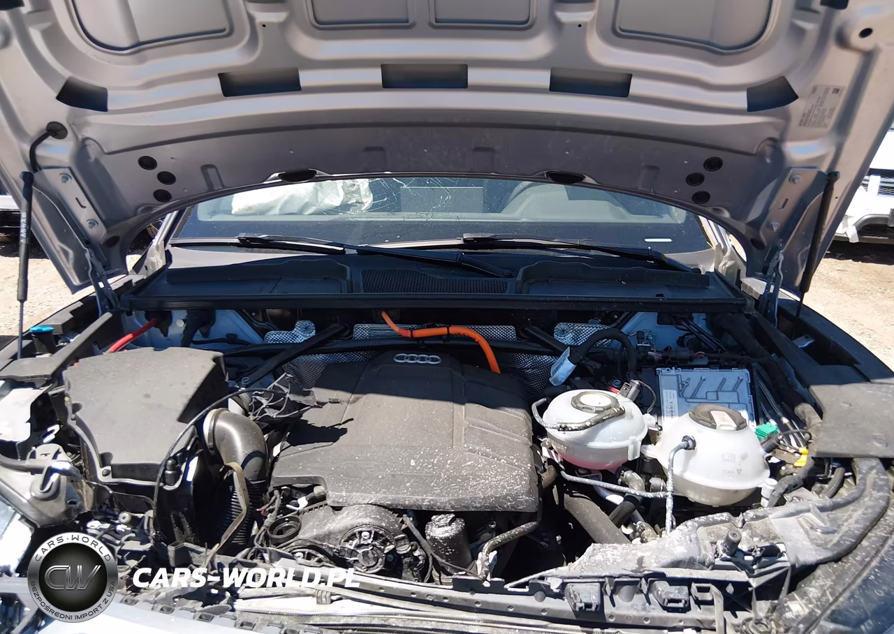 2024 Audi Q5 Premium Plus 55 Tfsi E S Line Quattro S Tronic VIN:WA1E2AFY3R2139764 - 10