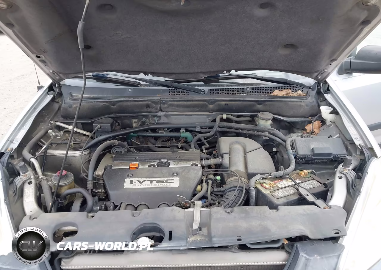 2004 Honda Cr-V Lx VIN:JHLRD68444C019731 - 10