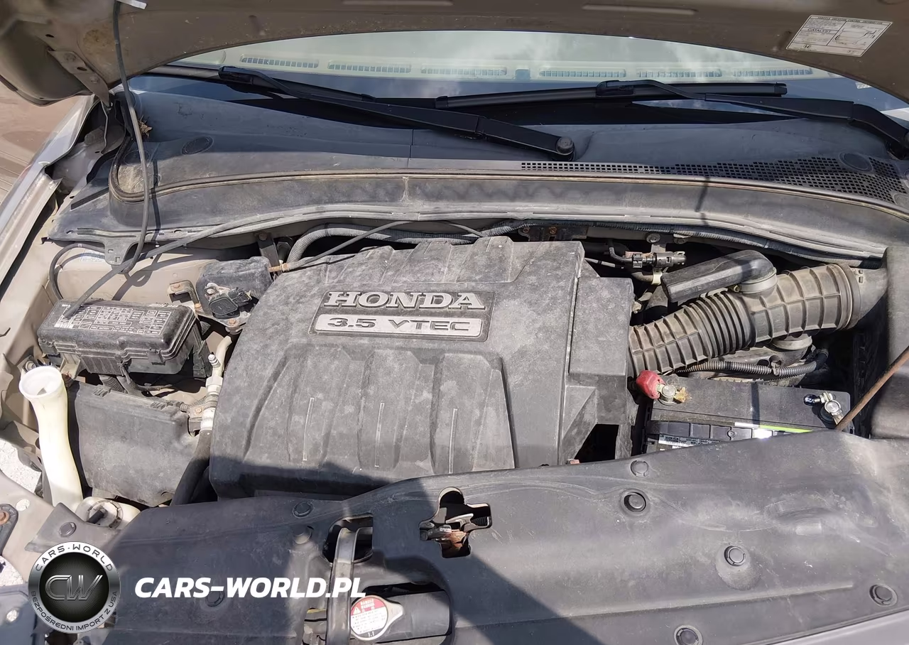 2005 Honda Pilot Ex-L VIN:5FNYF18585B025518 - 10