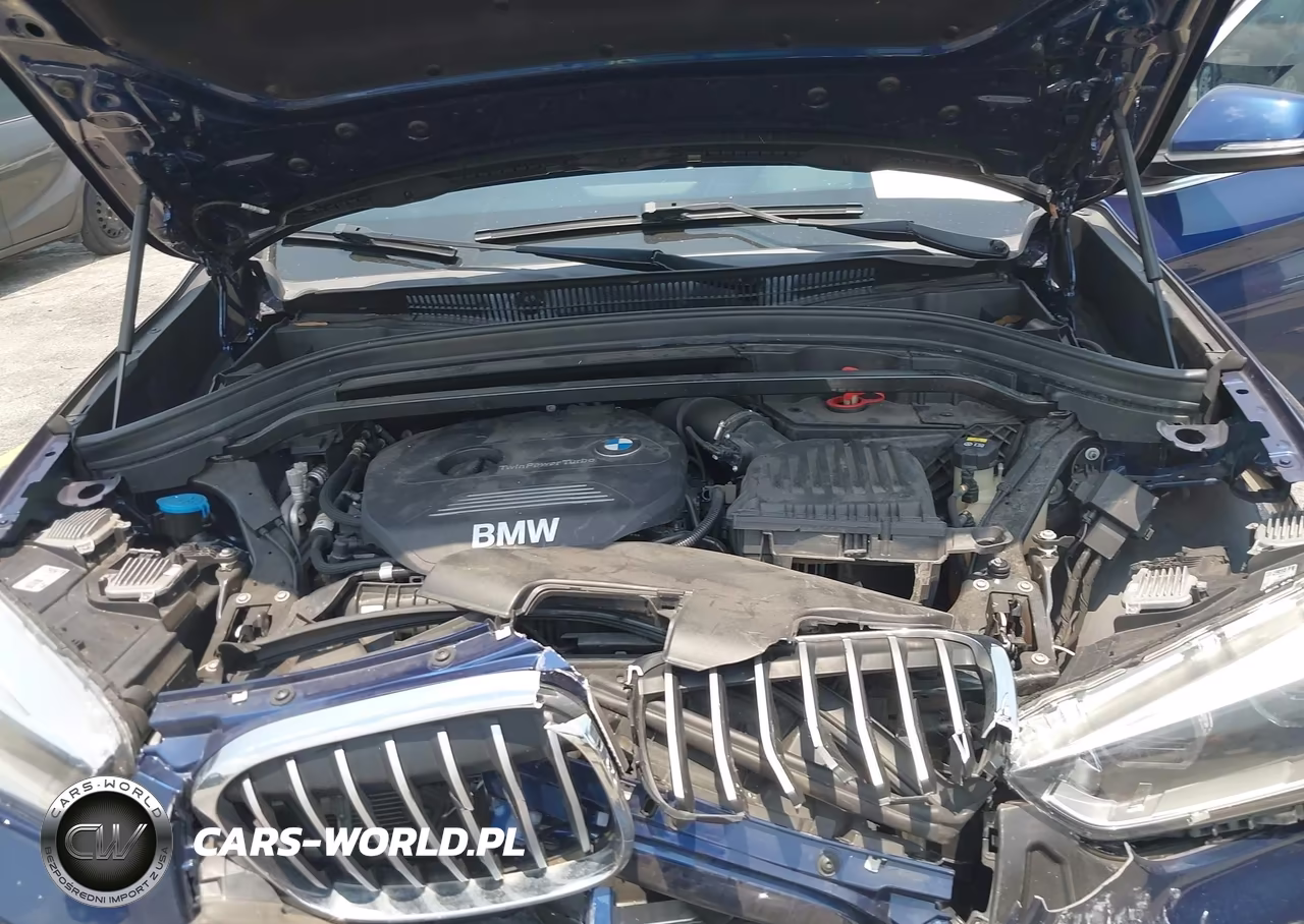 2019 BMW X1 Sdrive28I VIN:WBXHU7C50K3H45135 - 10