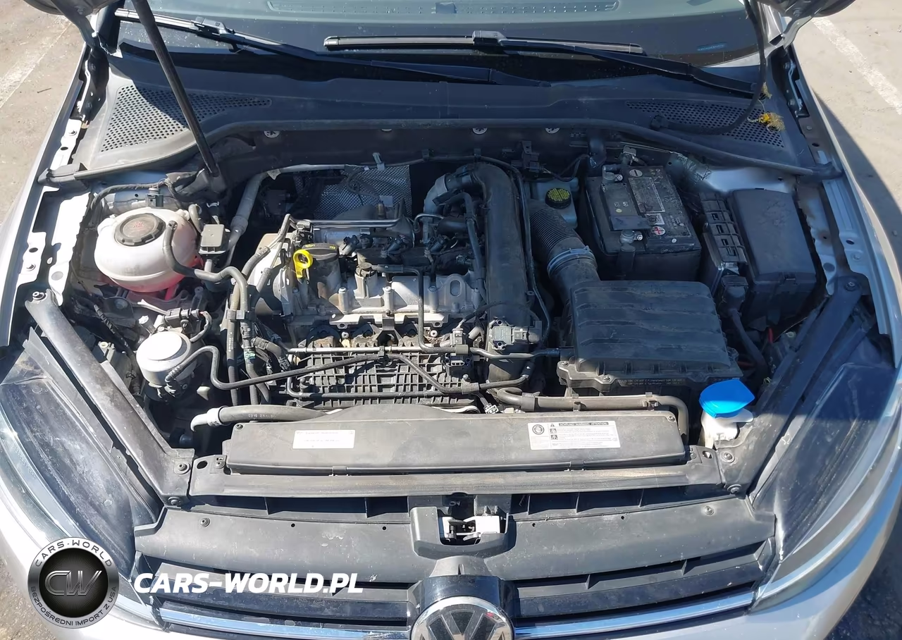 2019 Volkswagen Golf 1.4T S-1.4T Se VIN:3VWW57AU6KM036780 - 10