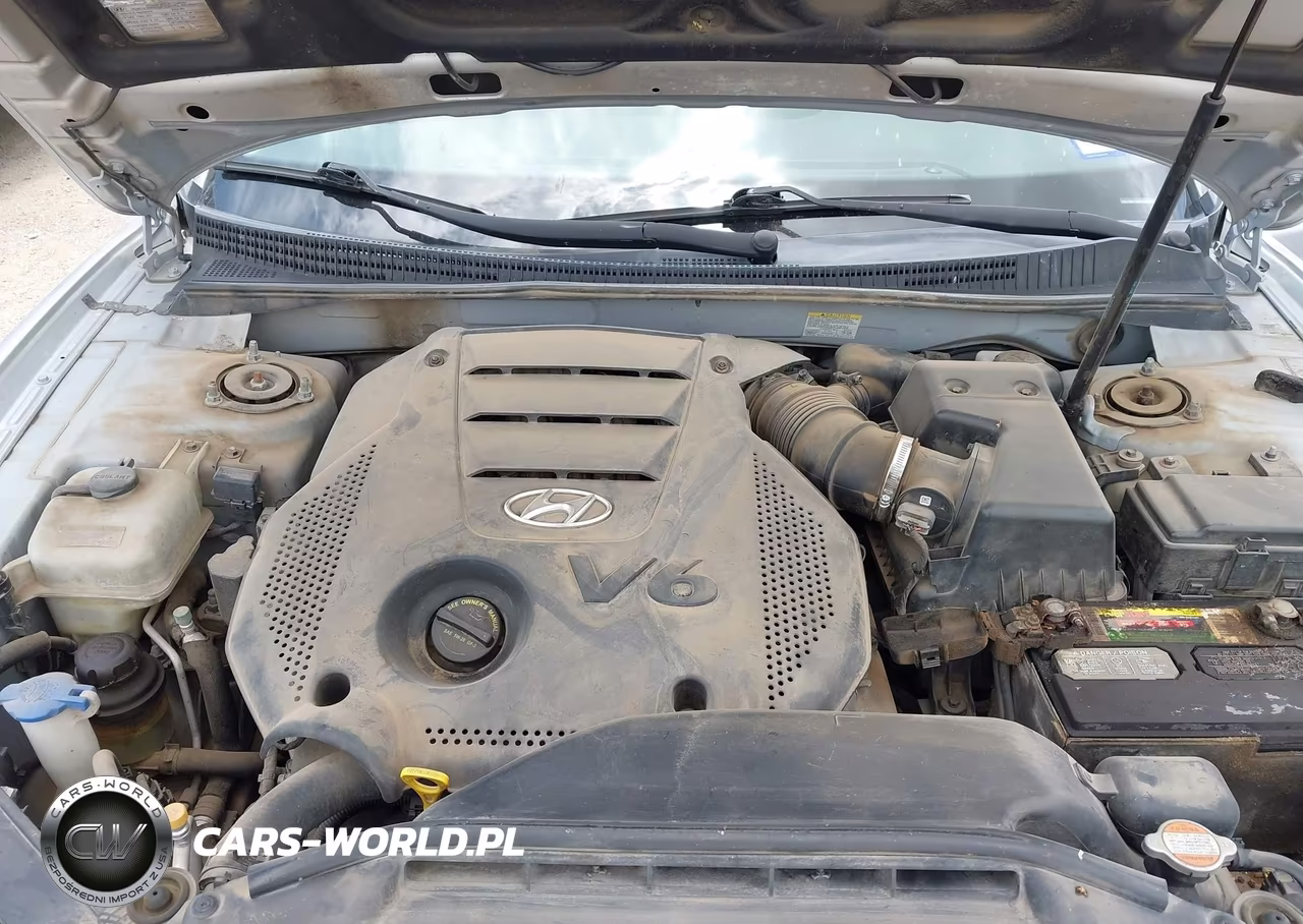 2009 Hyundai Azera Gls VIN:KMHFC46D19A349920 - 10
