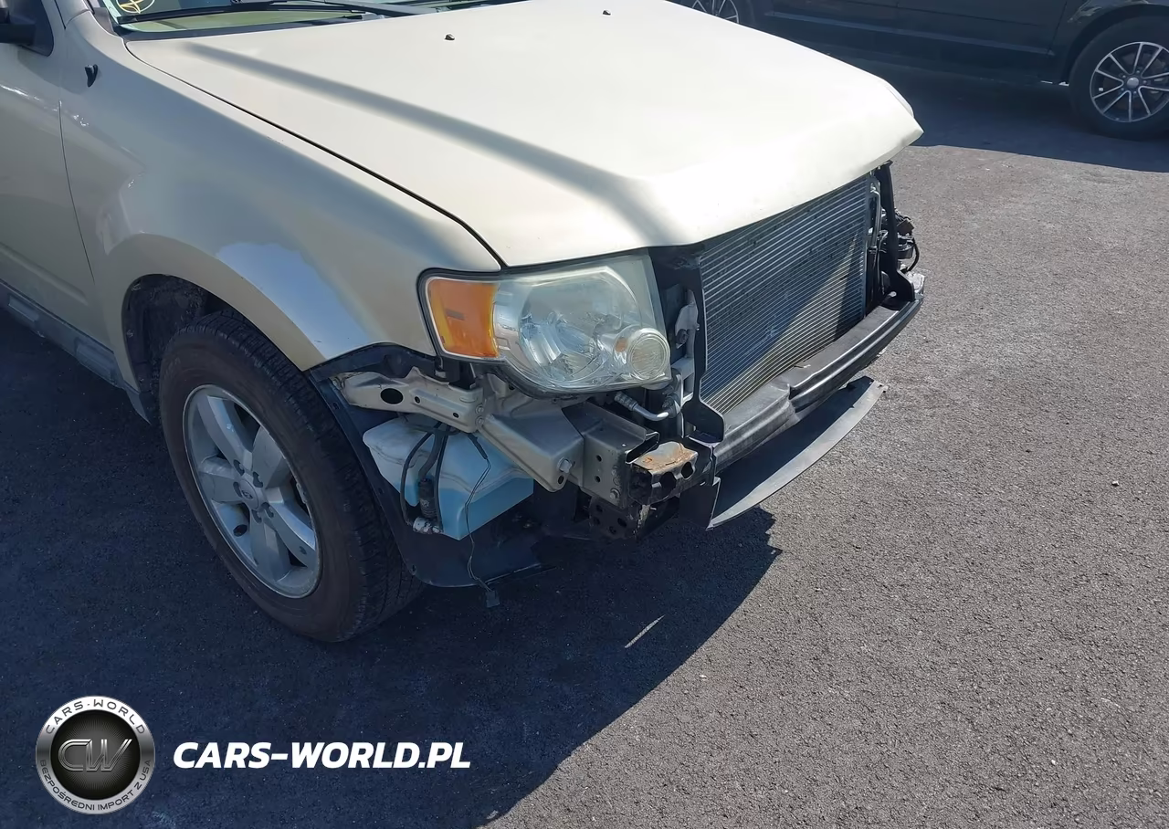 2011 Ford Escape Xlt VIN:1FMCU0DG5BKC37661 - 13