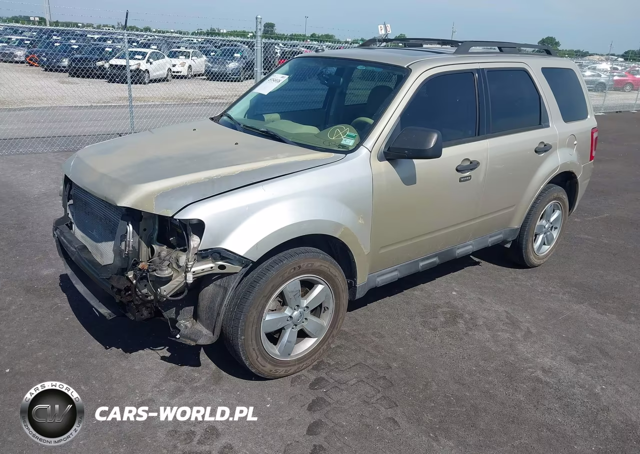 2011 Ford Escape Xlt VIN:1FMCU0DG5BKC37661 - 2