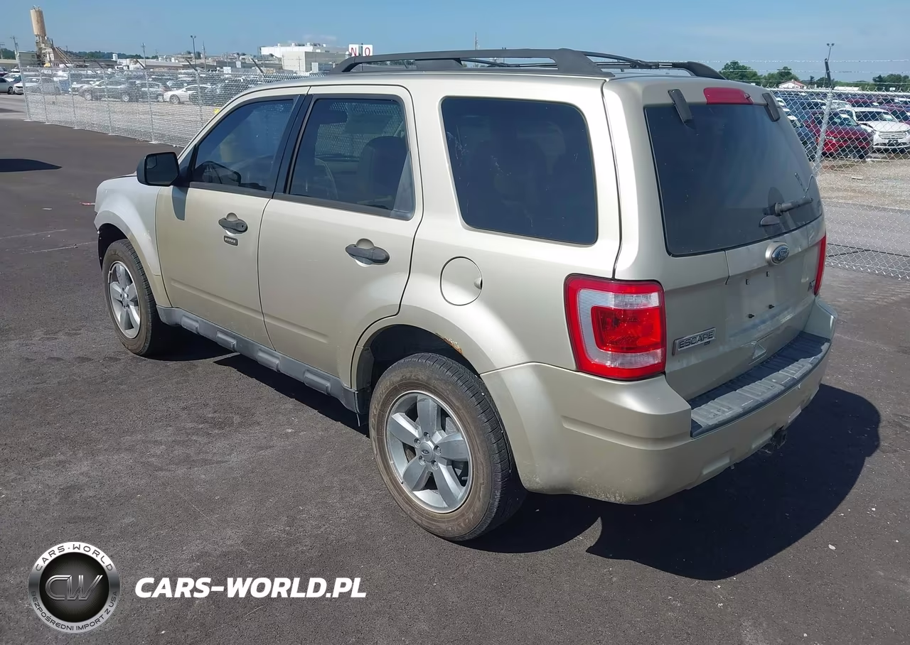2011 Ford Escape Xlt VIN:1FMCU0DG5BKC37661 - 3