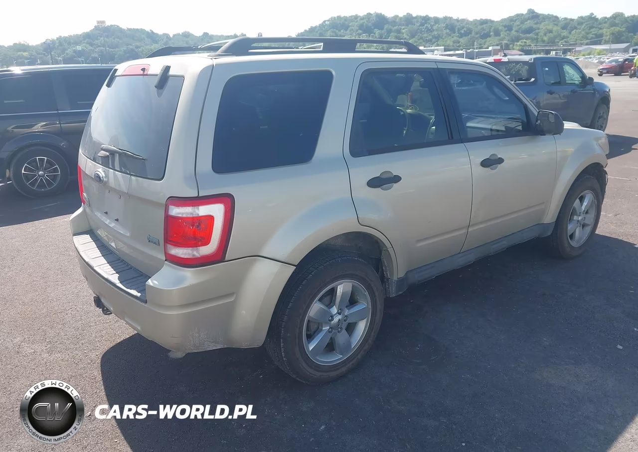 2011 Ford Escape Xlt VIN:1FMCU0DG5BKC37661 - 4