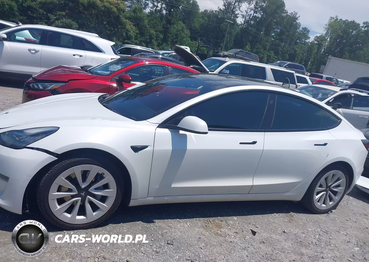 2022 Tesla Model 3 Long Range Dual Motor All-Wheel Drive VIN:5YJ3E1EB1NF241556 - 13