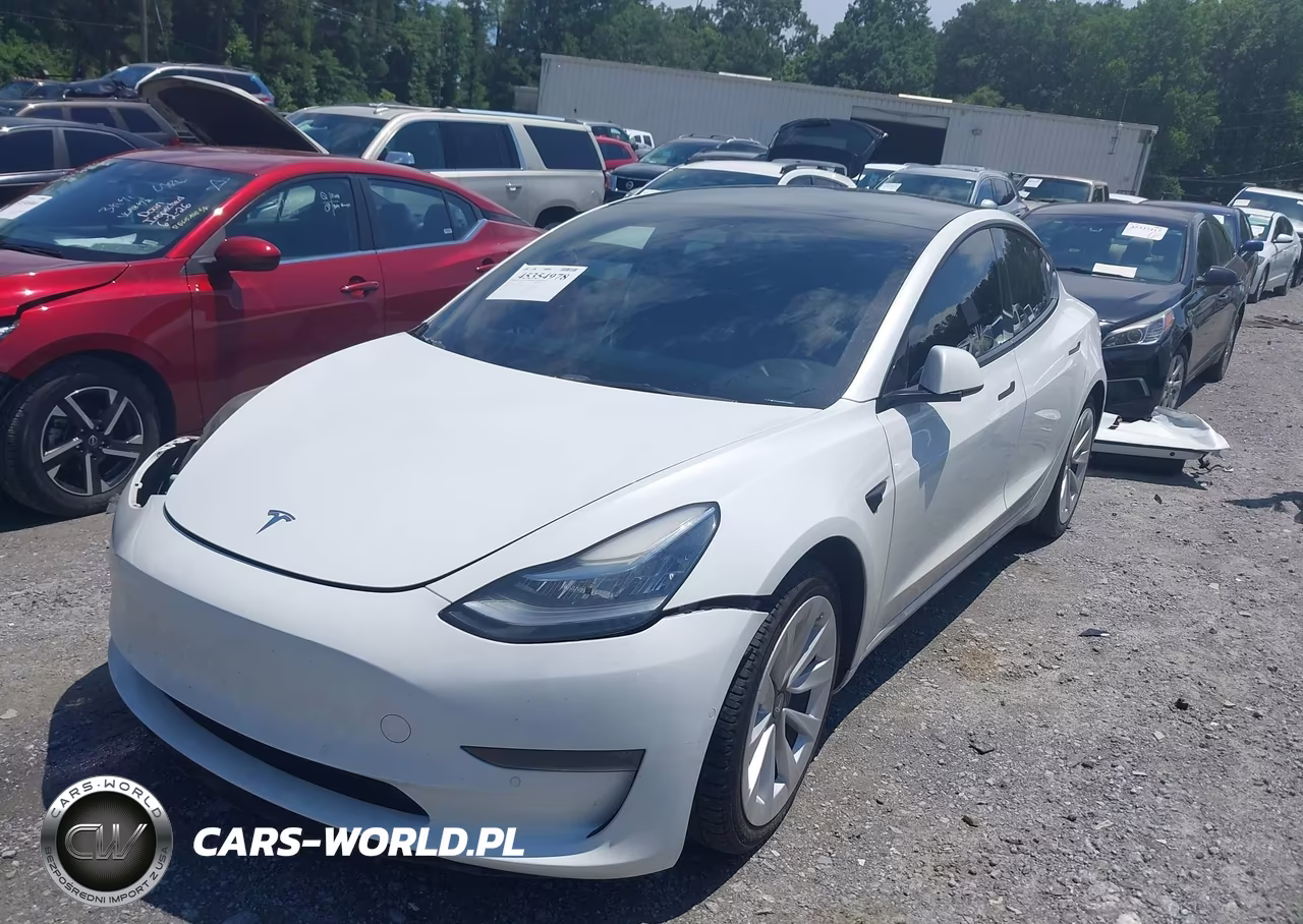 2022 Tesla Model 3 Long Range Dual Motor All-Wheel Drive VIN:5YJ3E1EB1NF241556 - 2