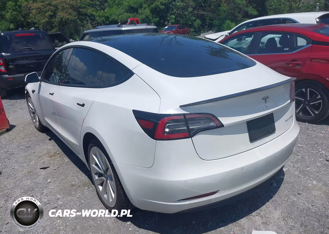 2022 Tesla Model 3 Long Range Dual Motor All-Wheel Drive VIN:5YJ3E1EB1NF241556 - 3