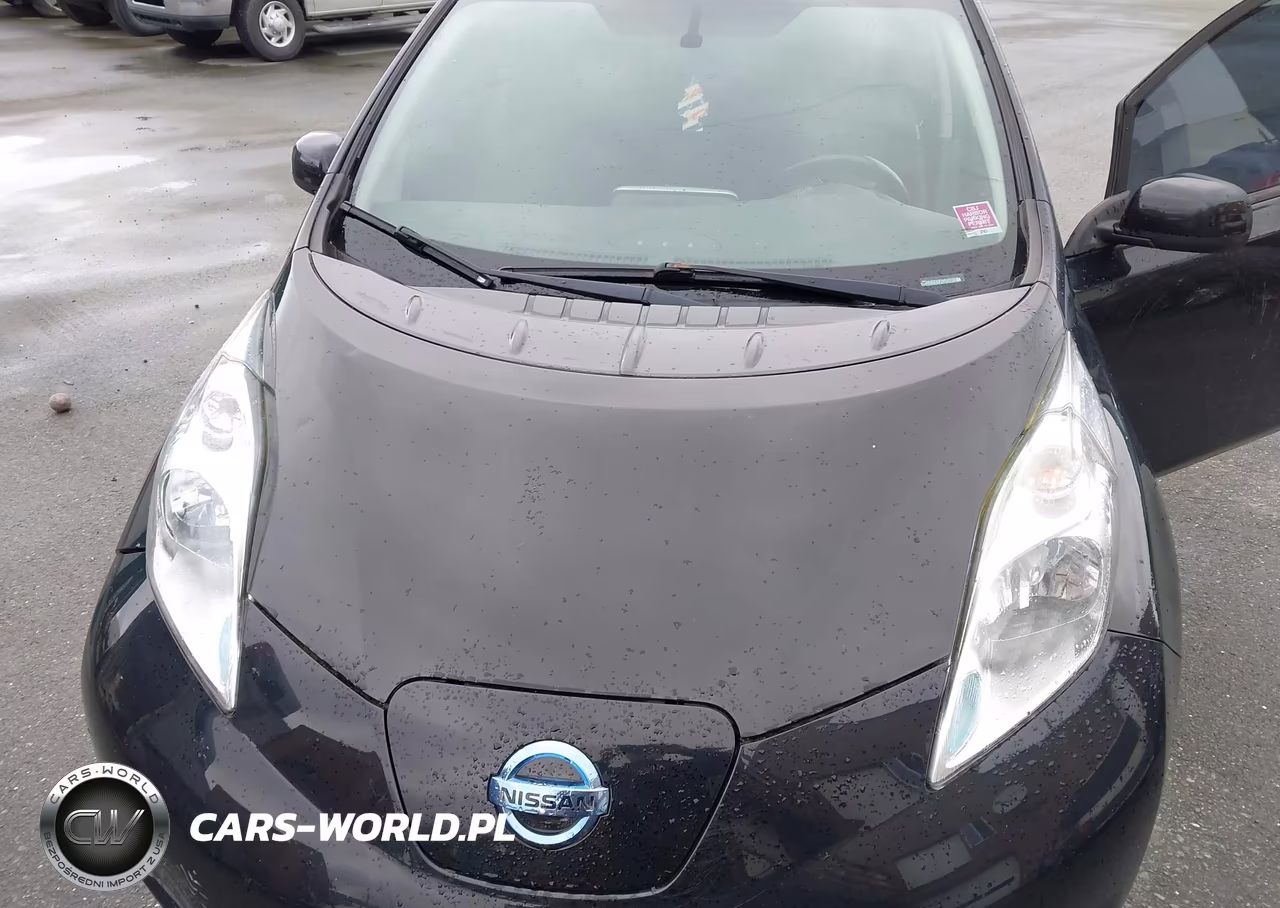 2015 Nissan Leaf S VIN:1N4AZ0CPXFC311032 - 10