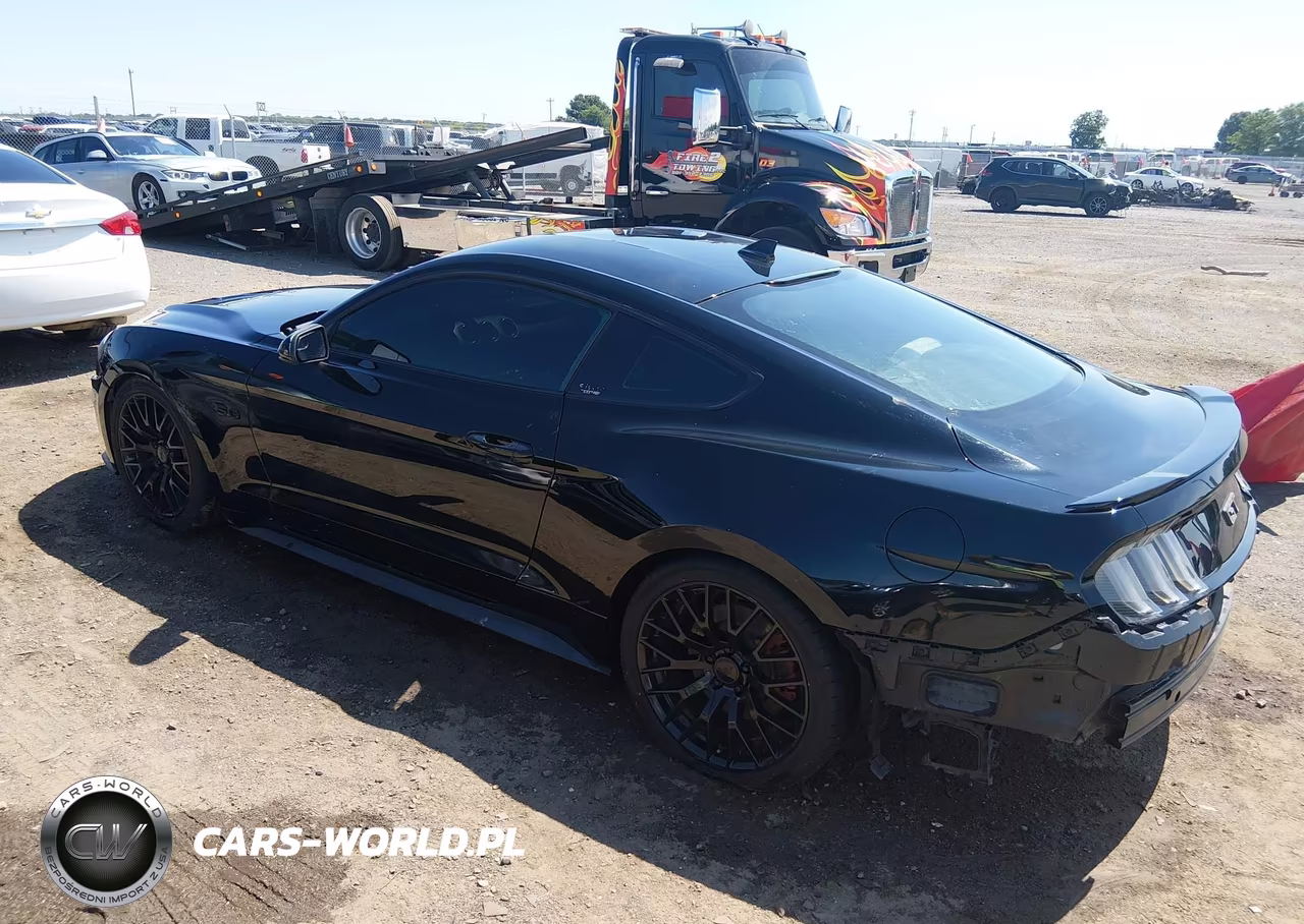 2020 Ford Mustang Gt Fastback VIN:1FA6P8CF7L5188792 - 3