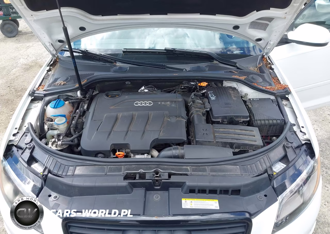 2011 Audi A3 2.0 Tdi Premium VIN:WAUKJBFM2BA040215 - 10