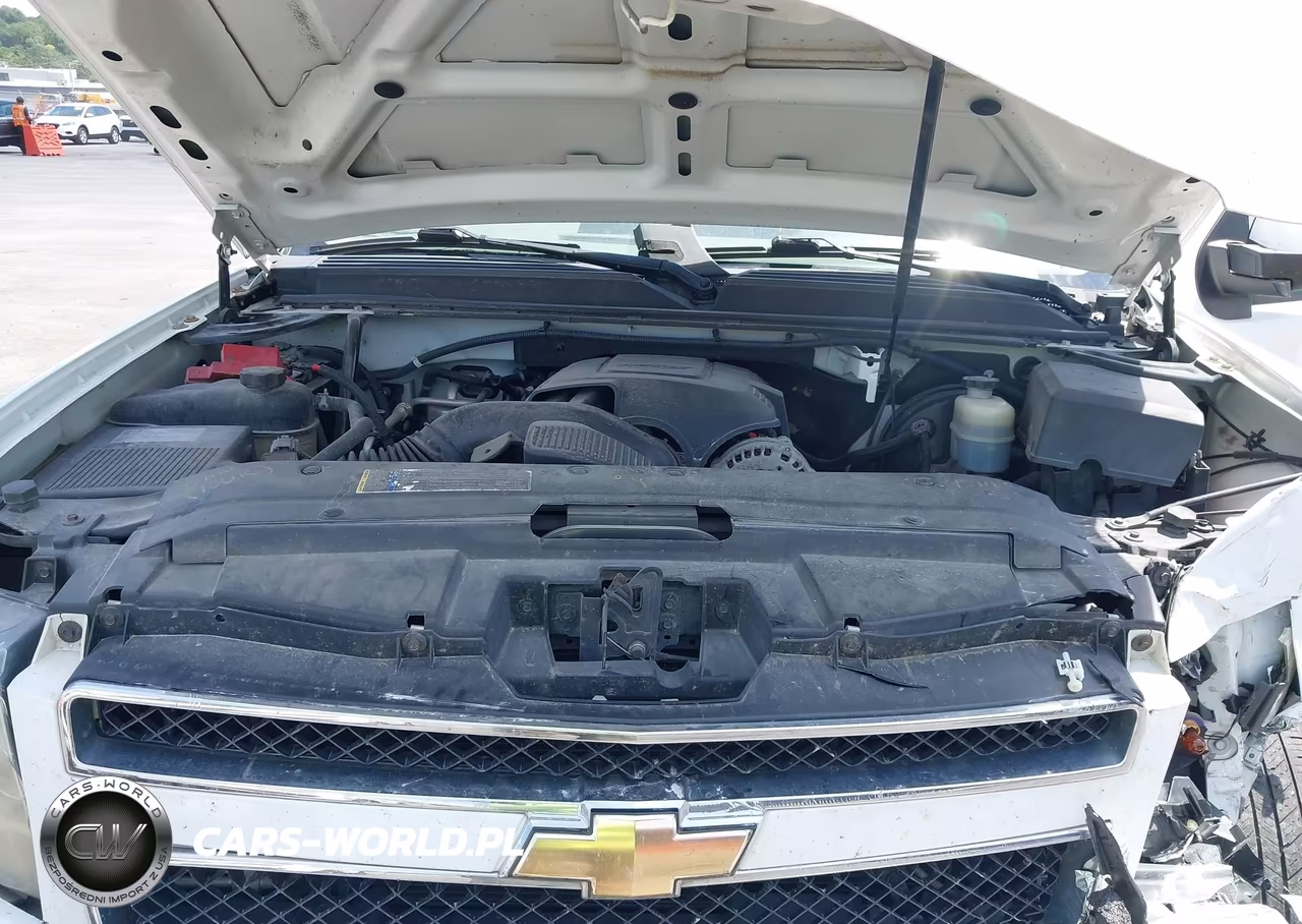 2010 Chevrolet Tahoe Lt VIN:1GNUKBE04AR165151 - 10