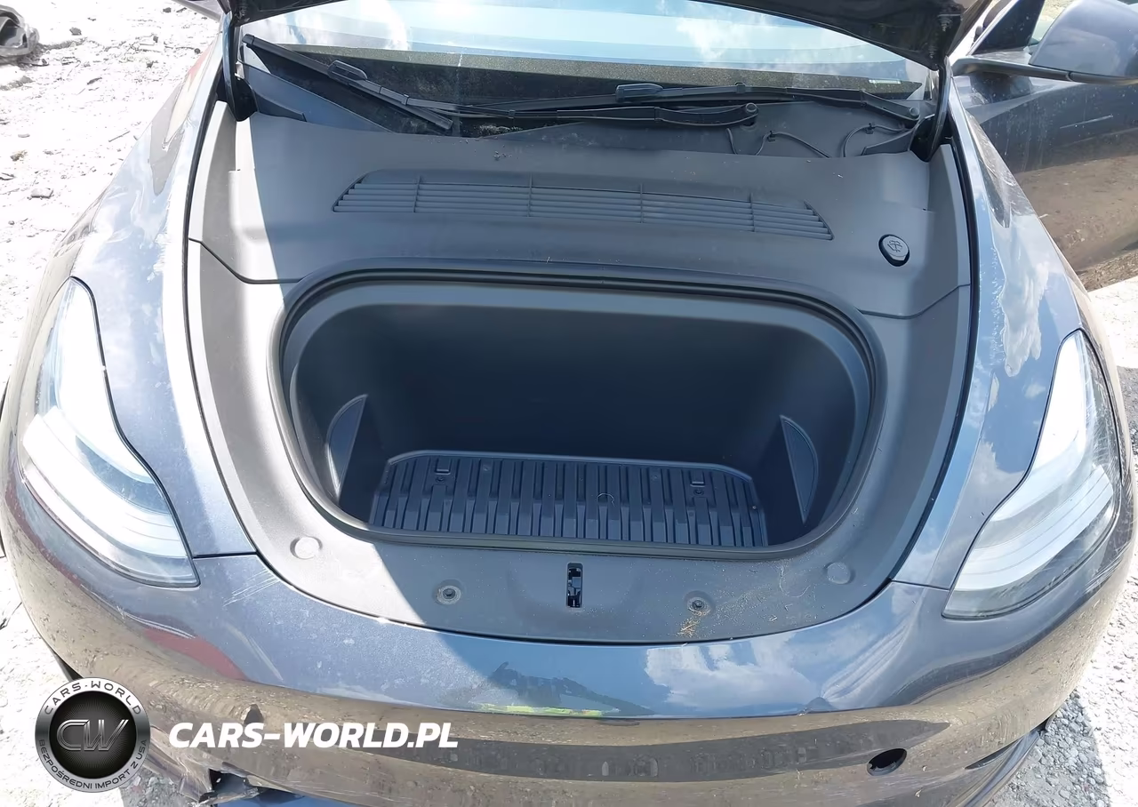 2024 Tesla Model Y Long Range Dual Motor All-Wheel Drive VIN:7SAYGDEE8RA310308 - 10