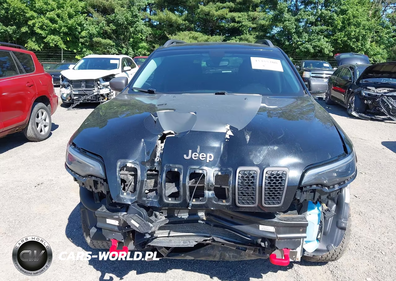 2019 Jeep Cherokee Trailhawk 4X4 VIN:1C4PJMBX3KD257470 - 13