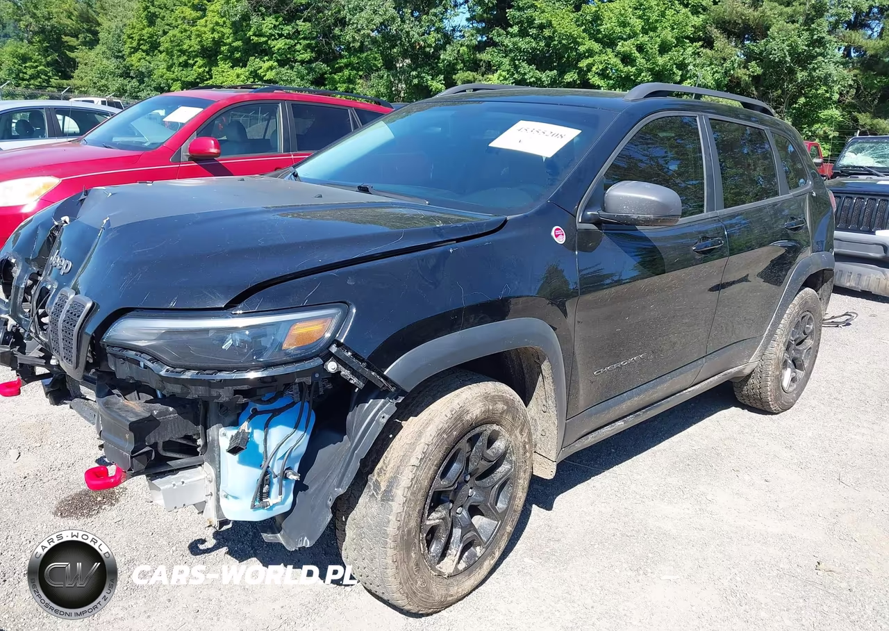 2019 Jeep Cherokee Trailhawk 4X4 VIN:1C4PJMBX3KD257470 - 2